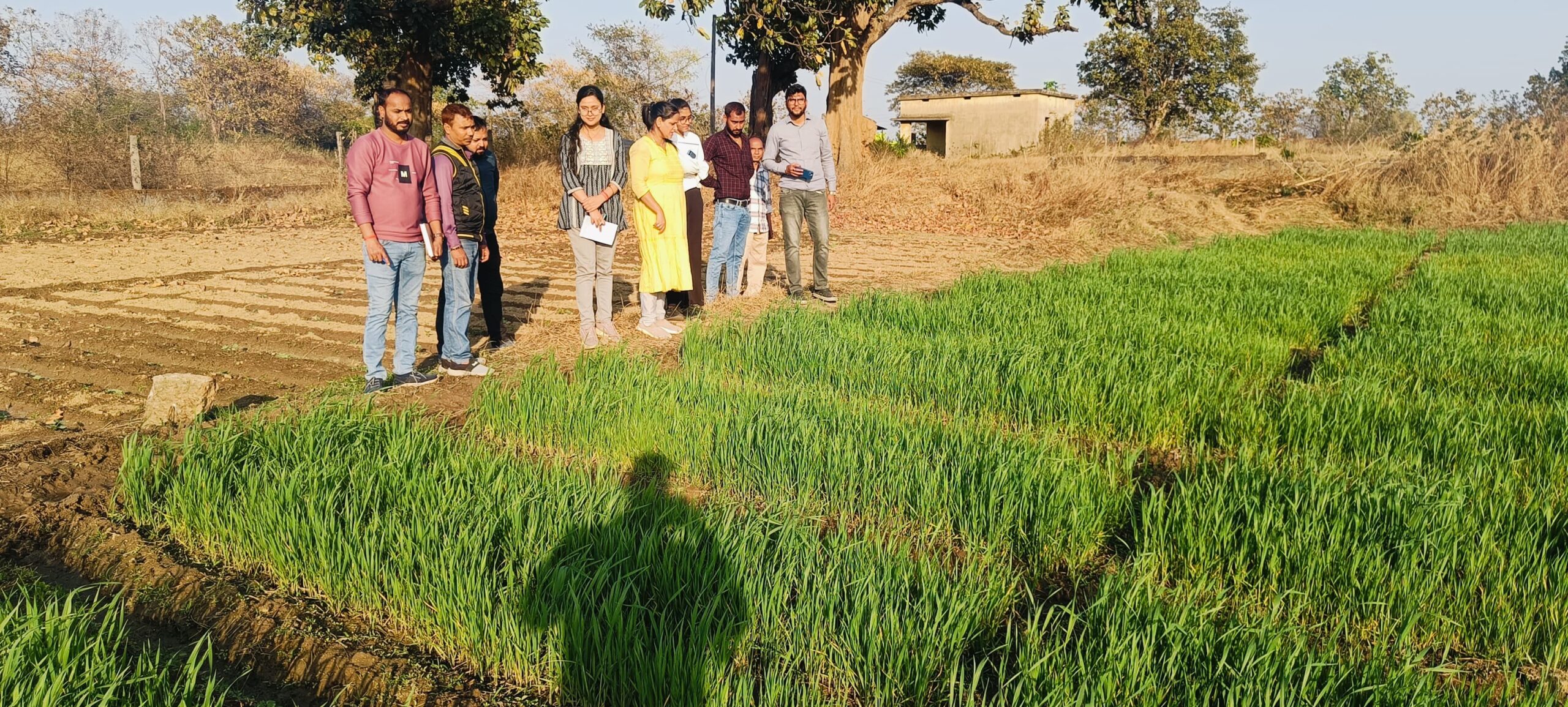 IMG-20250224-WA0019 IMG-20250224-WA0019